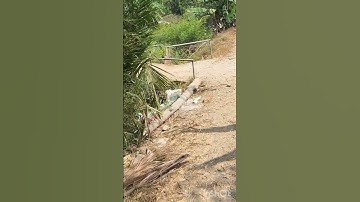 Chủ cần bán nhanh 8 công đất thuộc huyện Mộc Hóa tỉnh Long An lh Zalo 0816556639