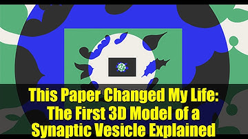 This Paper Changed My Life: The First 3D Model of a Synaptic Vesicle Explained