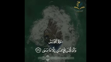 تلاوة مؤثرة للشيخ حسن صالح || وأن ليس للإنسان إلا ما سعي