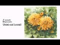 [ 3 minute Watercolor - Watch and Learn ] Yellow chrysanthemum. NAMIL ART