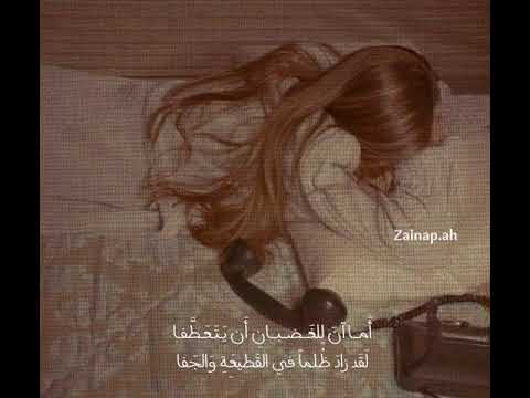 أما آن للغضبان أن يتعط فا عرقلة الكلبي