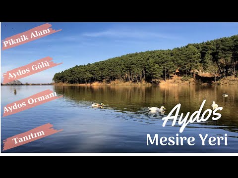 Aydos Ormanı I Aydos Mesire Yeri - Piknik Alanı I Aydos Gölü (İstanbul Piknik Yerleri)