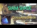 SIAM SHADE / 大きな木の下で 弾いてみた