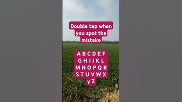 Double tap when you find the mistake #search #puzzle #shorts