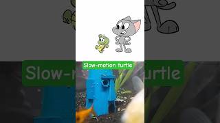 Slow-motion turtle #comedy #cartoon