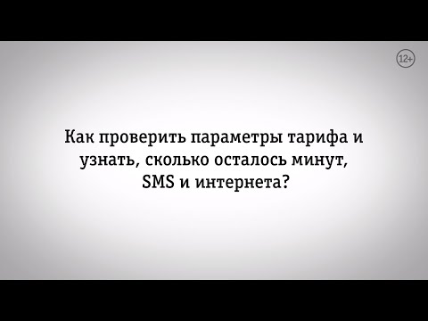 Мой Билайн: как узнать, сколько осталось минут, SMS и интернета?