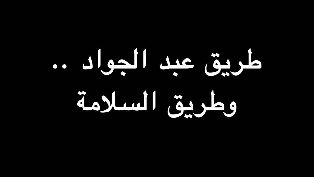 طريق عبد الجواد .. وطريق السلامة | ندوة د. علاء الأسواني