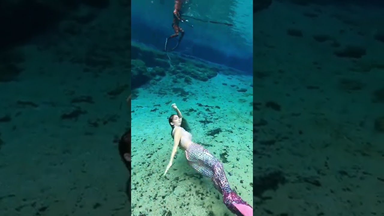 All the good girls go to… 🐚 