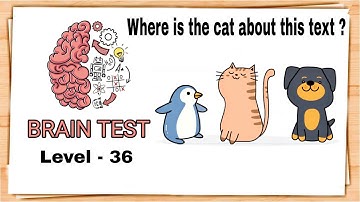 Brain Test Level 36 Where is the cat above the text Walkthrough.