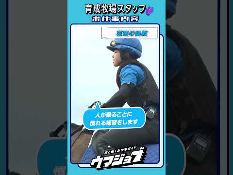 🐎育成牧場スタッフさんのお仕事とは🔍 | JRA公式