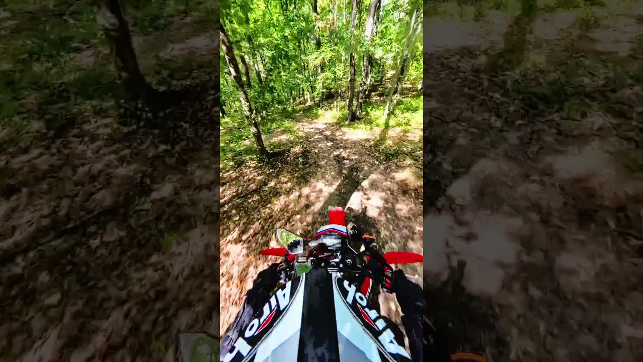 #saptecoline #motorcycle #honda #crf300l #music #enduro #dirt #forest #ride #group #fun #adventure
