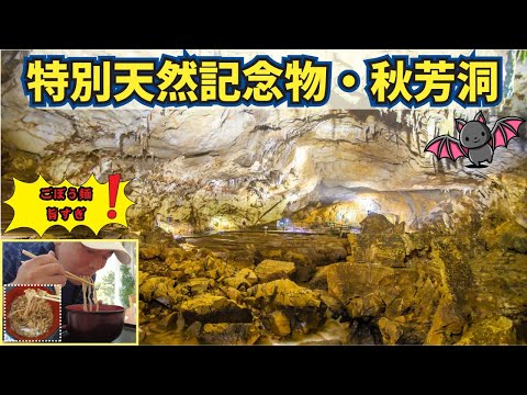 【裏話満載】秋芳洞を安富専務と散策【美味】驚きのごぼう麺！！
