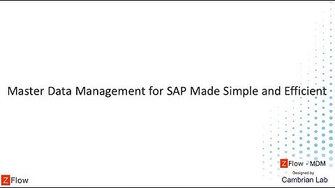 SAP Master Data Management Made Simple