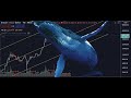 What Have Whales Been Doing With Bitcoin?