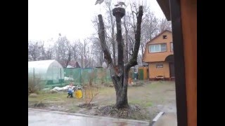 2016 05 04 МТС Антенна Свек 90 конвертор Блек ультра на 8 выходов  Приличный дождь