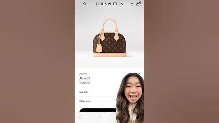 AVOID THESE BAGS FROM LOUIS VUITTON FOR YOUR FIRST DESIGNER PURCAHSE