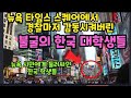 뉴욕경찰마저 감동시켜버린 한국 대학생들/뉴욕 타임스 스퀘어에서 일어난 일/뉴욕 시민들에게 둘러싸인 한국 학생들