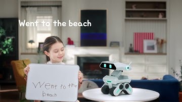 How Well Does Yonbo Know Me? | Fun Q&A with the Smart AI Companion Robot!