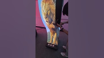 Give you a flexible LED screen. #apexlsled  #leddisplay #shorts #ledwall #ledmodule