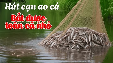 Tôi trả 60.000 tệ… và đây là ao cá “không có cá lớn”!!! 😱
