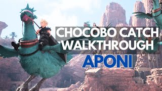 How to catch Aponi in Final Fantasy VII Rebirth Walkthrough