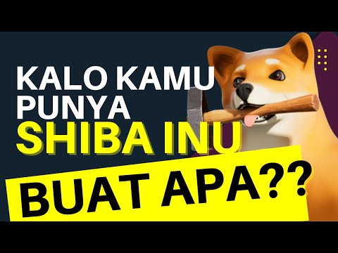 Beli Shiba Inu Buat Apa? Keuntungan  Investasi Shiba Inu. Enaknya Kalo Kamu Punya Shiba Inu #shiba