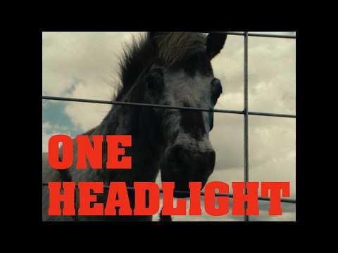 Mainard Larkin - One Headlight