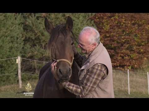 Video: Altajska pasmina konja: opis, karakteristike, eksterijer, uzgoj