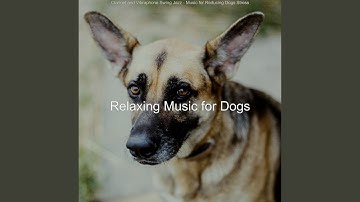 Pulsating Moods for Relaxing Dogs