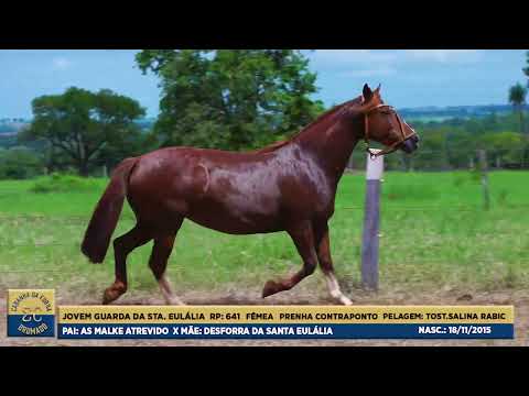 LOTE 06 - JOVEM GUARDA DA STA EULÁLIA