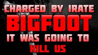 CHARGED BY IRATE BIGFOOT!  I THOUGHT IT WAS GOING TO KILL US