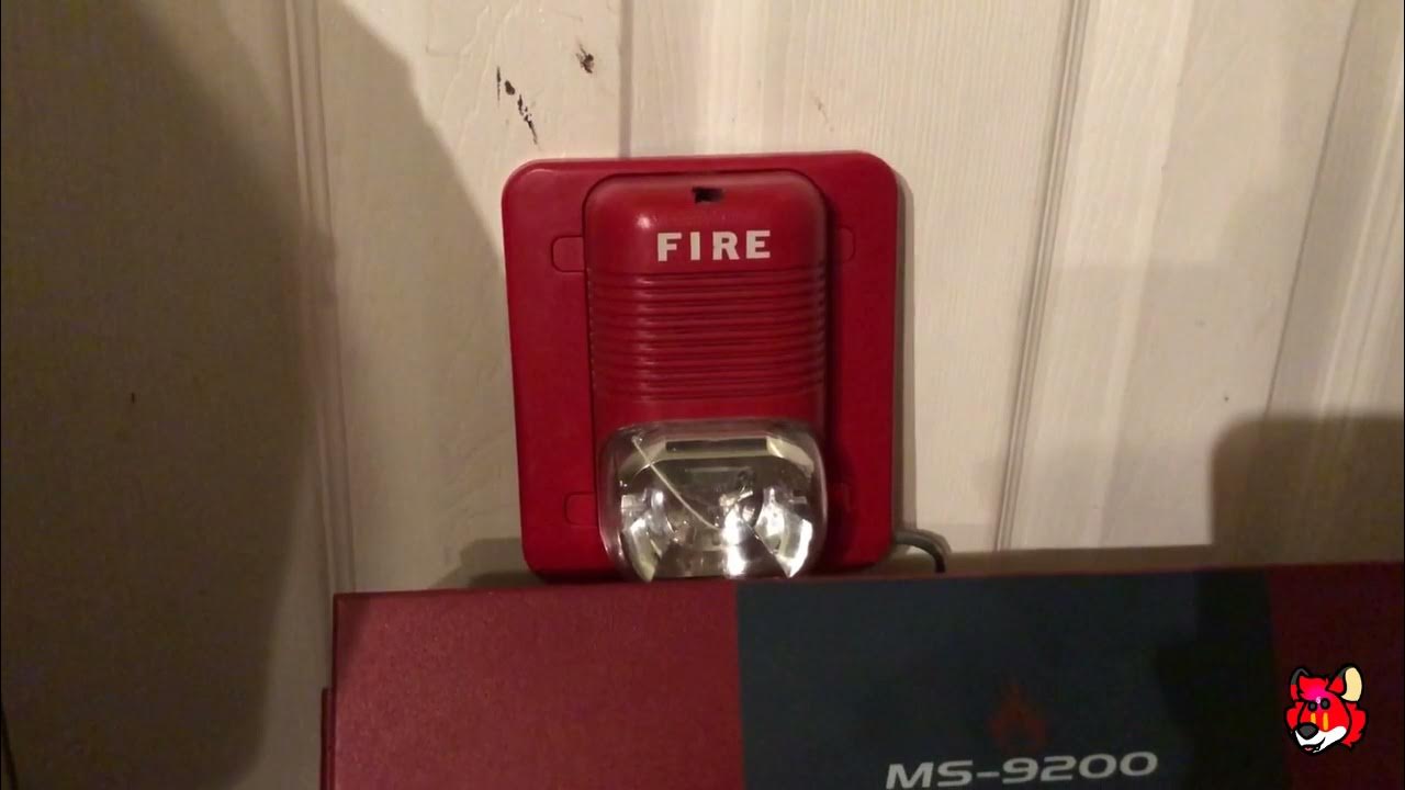 Fire Lite MS-9200 Test - YouTube