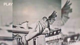 3 Ocak 2020. Bu Gece Siliyorum Seni Içimden