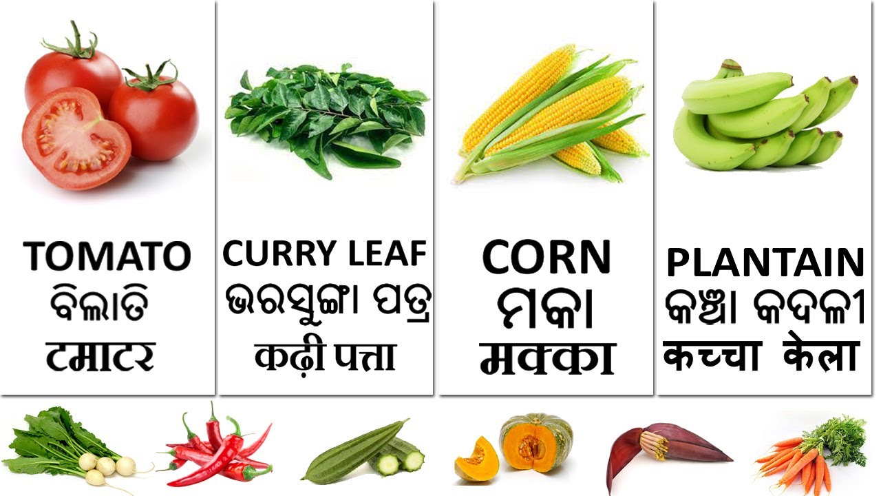 50 Vegetables Name In Odia English Hindi Vegetable Name In Odia 50 Vegetables Name In Odia English Hindi Vegetable Name In Odia