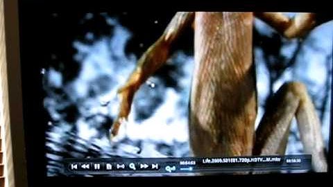 Nationite HDVP-2 in movie ff and zoom