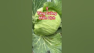 10 Tác dụng bất ngờ của cây cải bắp mà bạn nên biết #baithuocdangian #meodangian ##sứckhỏe