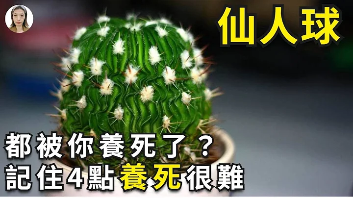 仙人球怎麼養|仙人球竟然被你養死？，仙人球和仙人掌是最難養死的植物，如果它都被養死了，你真應該好好看看這期內容|花花世界 - 天天要聞