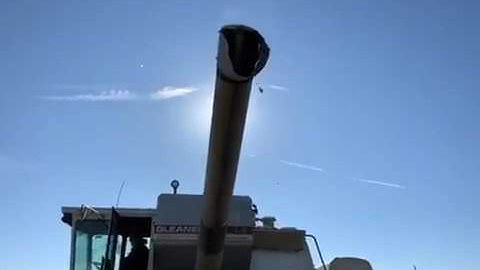 BigIron 1981 Gleaner L2 Combine