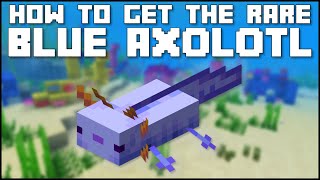 Minecraft - How To Get The Rare Blue Axolotl (Java/Bedrock)