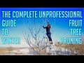 The Complete Unprofessional Guide to Winter Fruit Tree Pruning