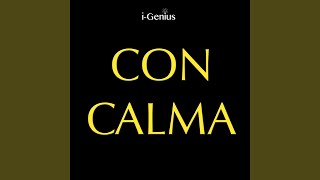 Con Calma (Instrumental Remix)