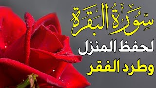 سورة البقرة 😇 أستمع بنية الرزق والبركة وطرد الشيطان ~ تلاوة تلامس الروح💕