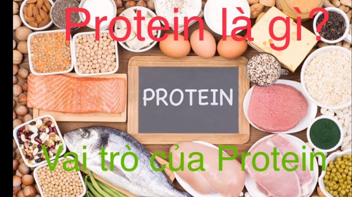 Protein có vai trò gì đối với cơ thể