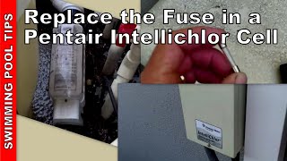My Intellichlor Salt Cell Has No Power: How To Replace The Fuse