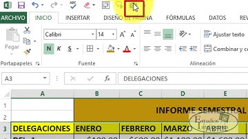 Camara fotografica en Exel
