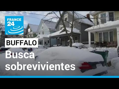 Video: El tiempo y el clima en Búfalo