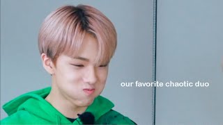 chenle and jisung sharing the same brain cell part 2