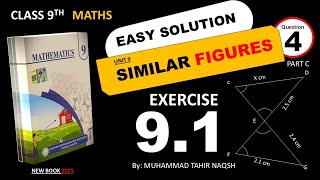 Class 9 Math Unit 9 Similar Figures | Exercise 9.1 Question 4(c) | New Syllabus 2025 (Punjab Boards)