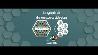 Animation AgroBRC-RARe Cycle de vie d'une ressource biologique