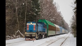 Тепловоз ТГМ4Б-0762 с вагонами автовозами.